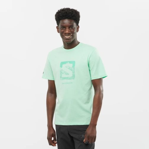 Camiseta Salomon Outlife Logo Corta Sleeve Hombre Verde Menta | MX DRWQ015